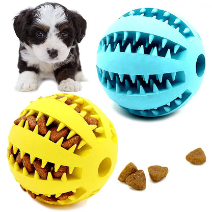 Interactive Rubber Food Ball for Pets