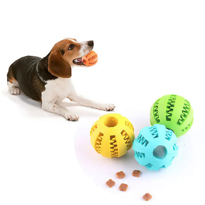 Interactive Rubber Food Ball for Pets