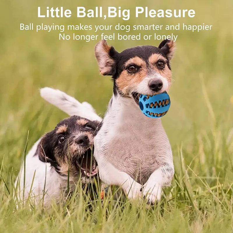 Interactive Rubber Food Ball for Pets