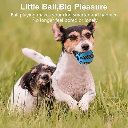 Interactive Rubber Food Ball for Pets